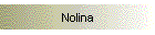 Nolina
